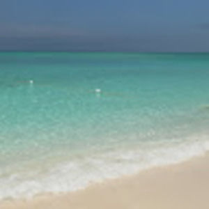 Meet your Posher, Soren